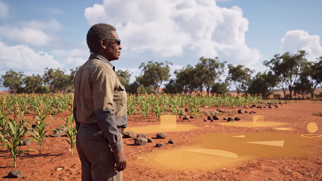 Amber patches beside young sorghum. An agriculture crop-planning scenario.